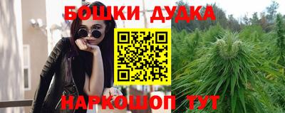 гидропоника Будённовск