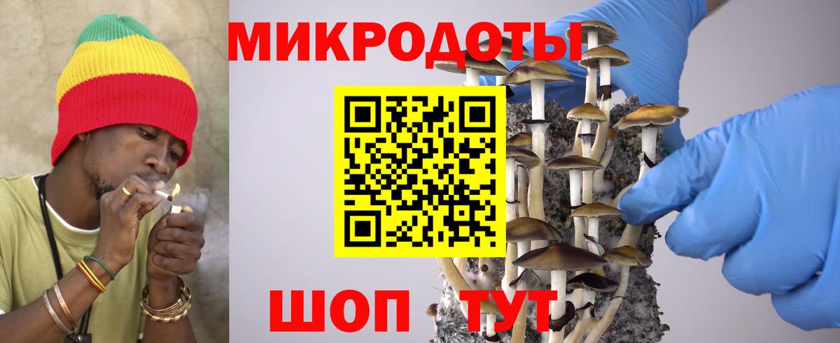 Галлюциногенные грибы GOLDEN TEACHER  Вход с VPN  Мценск 